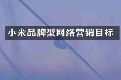 小米品牌型网络营销目标
