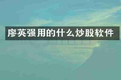 廖英强用的什么炒股软件
