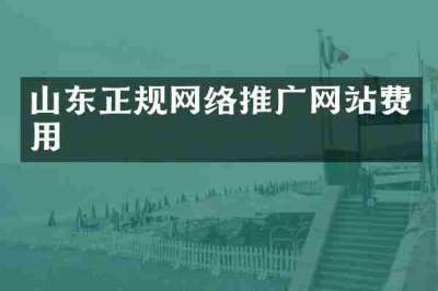 山东正规网络推广网站费用