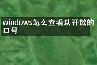 windows怎么查看以开放的端口号