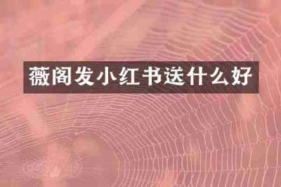 薇阁发小红书送什么好