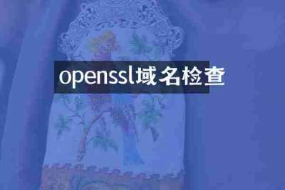 openssl域名检查