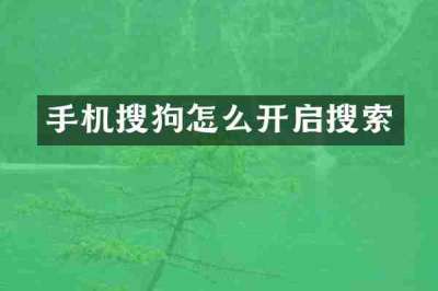 手机搜狗怎么开启搜索
