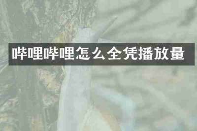 哔哩哔哩怎么全凭播放量
