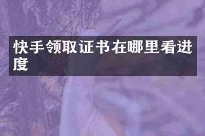 快手领取证书在哪里看进度