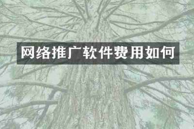 网络推广软件费用如何