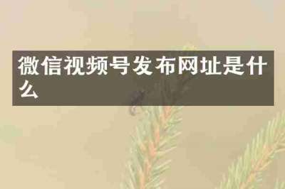 微信视频号发布网址是什么