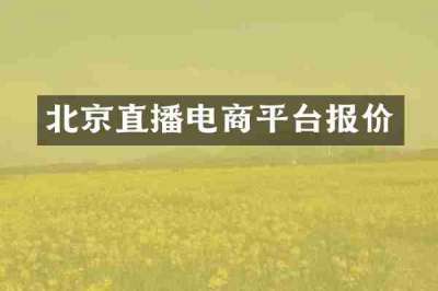 北京直播电商平台报价
