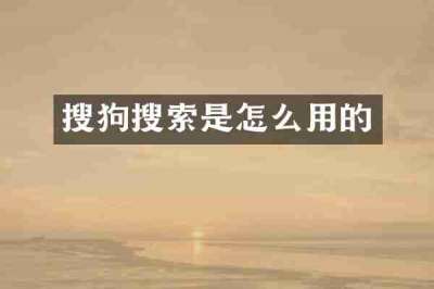 搜狗搜索是怎么用的