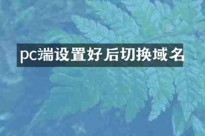 pc端设置好后切换域名