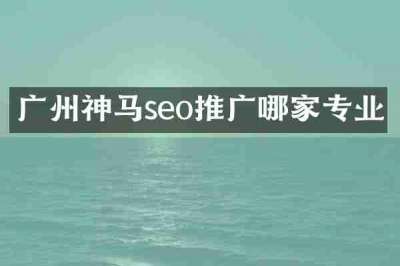 广州神马seo推广哪家专业