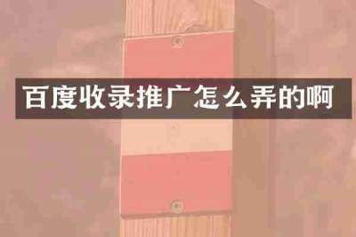 百度收录推广怎么弄的啊