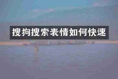 搜狗搜索表情如何快速