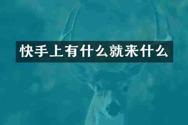 快手上有什么就来什么