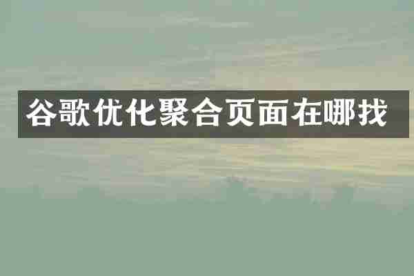 谷歌优化聚合页面在哪找