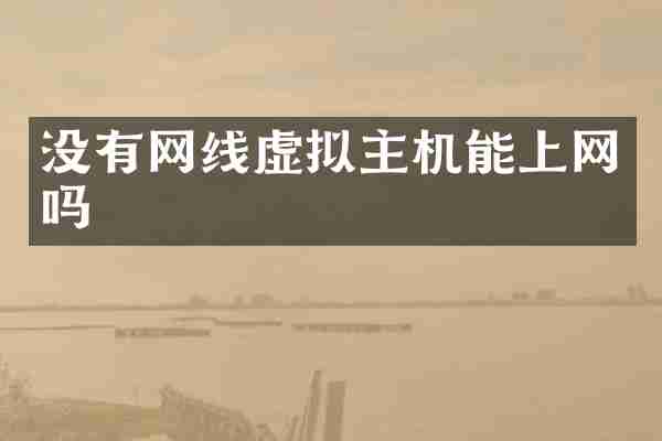 没有网线虚拟主机能上网吗