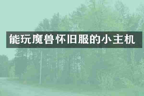 能玩魔兽怀旧服的小主机
