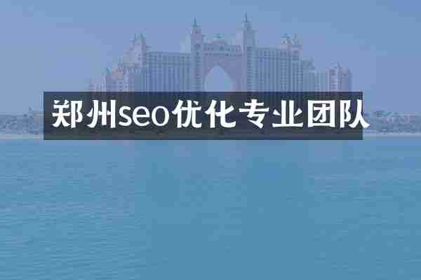 郑州seo优化专业团队