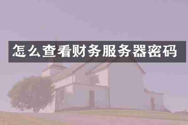 怎么查看财务服务器密码