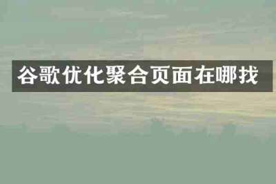 谷歌优化聚合页面在哪找