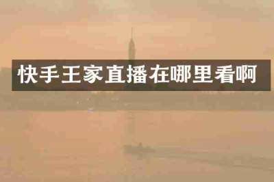 快手王家直播在哪里看啊