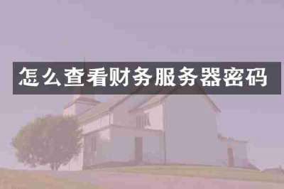 怎么查看财务服务器密码
