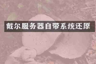 戴尔服务器自带系统还原