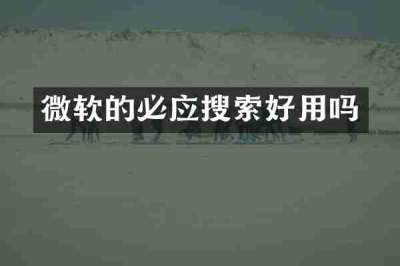 微软的必应搜索好用吗