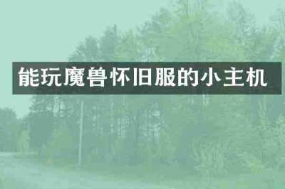 能玩魔兽怀旧服的小主机