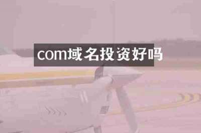 com域名投资好吗