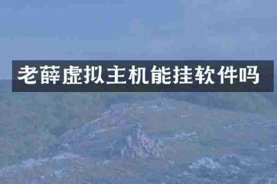 老薛虚拟主机能挂软件吗