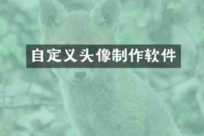 自定义头像制作软件