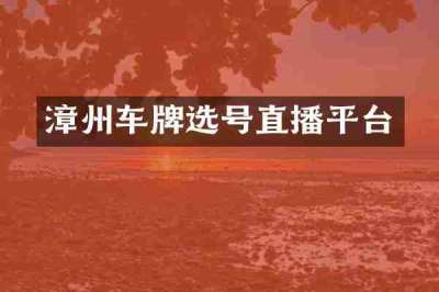 漳州车牌选号直播平台
