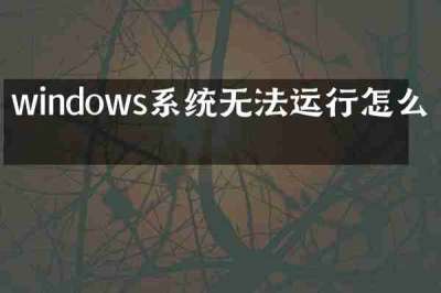 windows系统无法运行怎么办