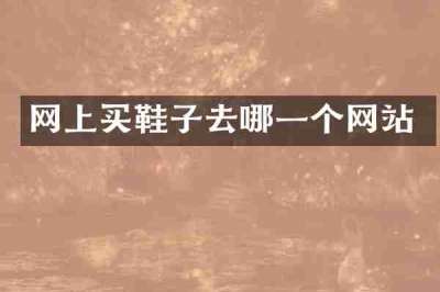 网上买鞋子去哪一个网站