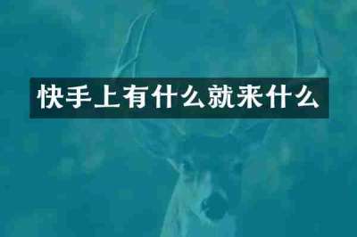 快手上有什么就来什么