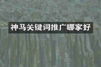 神马关键词推广哪家好