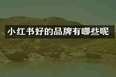 小红书好的品牌有哪些呢