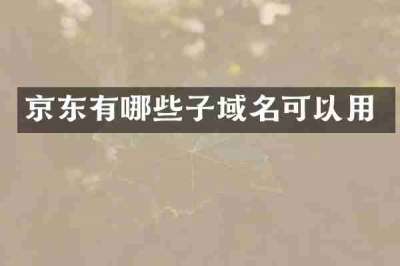京东有哪些子域名可以用