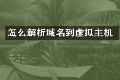 怎么解析域名到虚拟主机