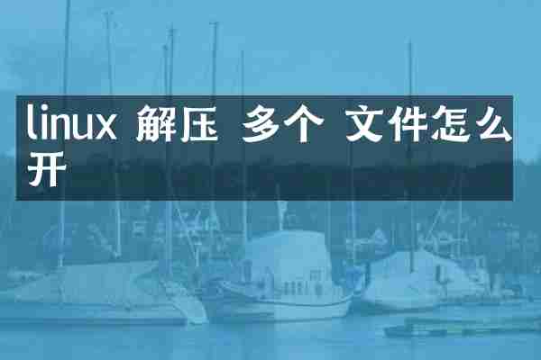 linux 解压 多个 文件怎么打开