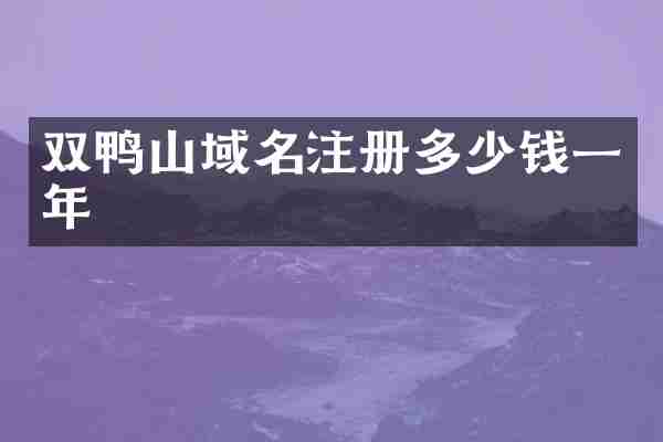 双鸭山域名注册多少钱一年