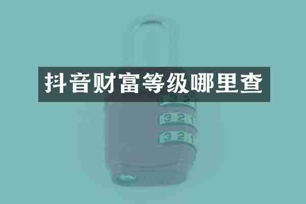 抖音财富等级哪里查