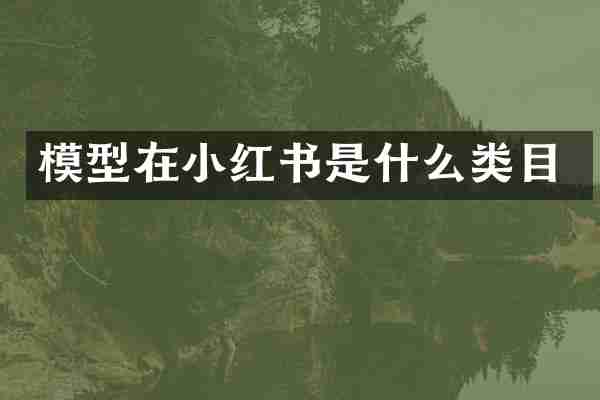 模型在小红书是什么类目