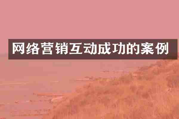 网络营销互动成功的案例