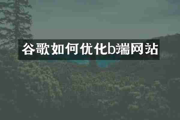 谷歌如何优化b端网站