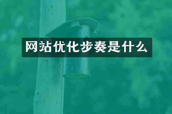 网站优化步奏是什么