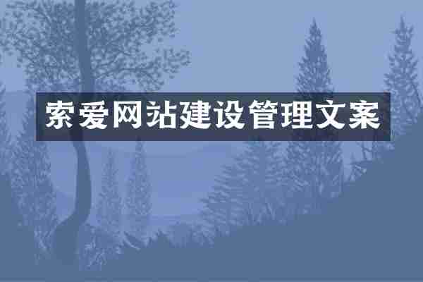 索爱网站建设管理文案