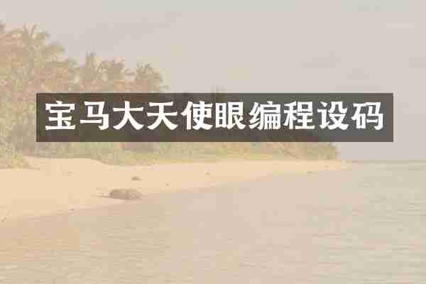 宝马大天使眼编程设码