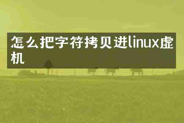 怎么把字符拷贝进linux虚拟机